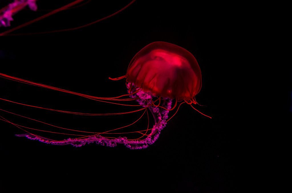 Archillect ID 178537