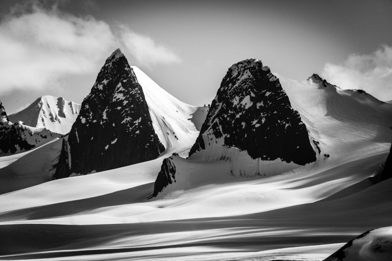 Archillect ID 178646