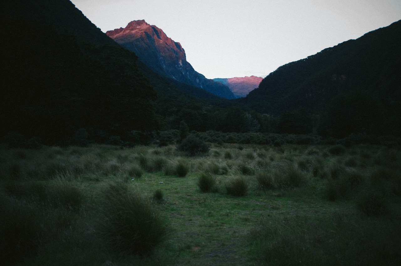 Archillect ID 179238