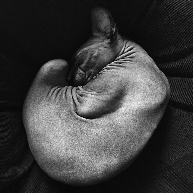 Archillect ID 179286