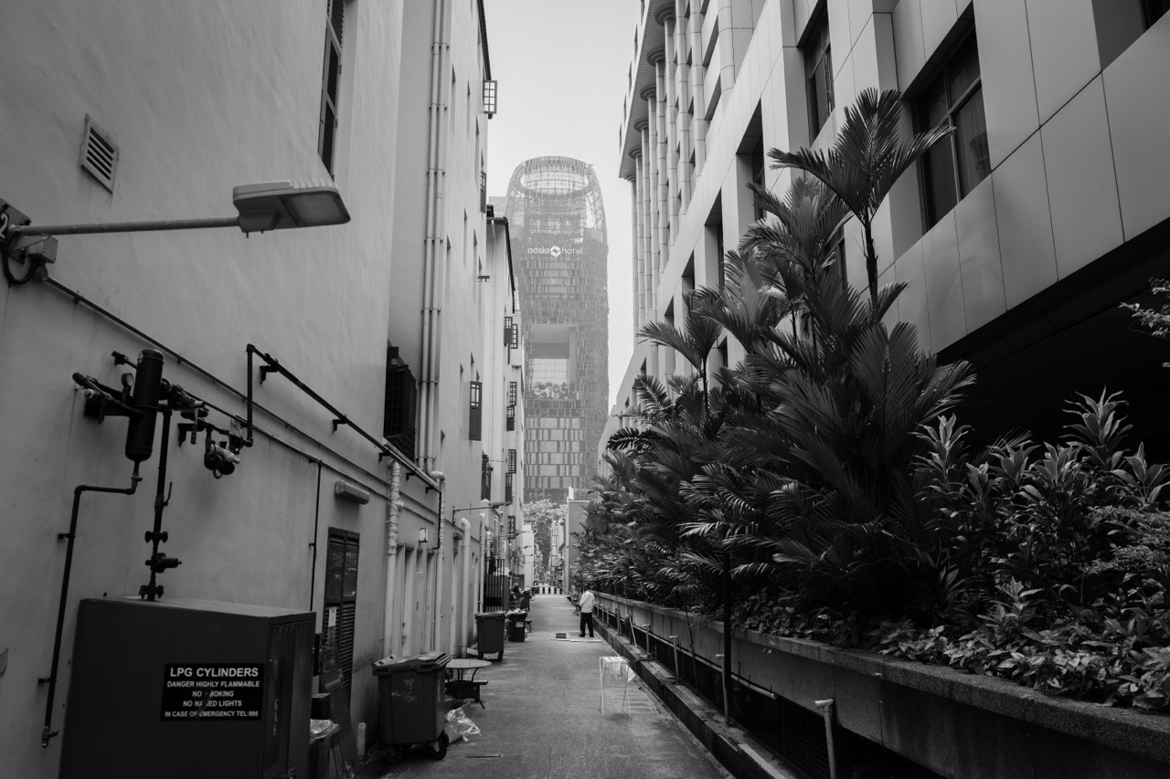 Archillect ID 179289