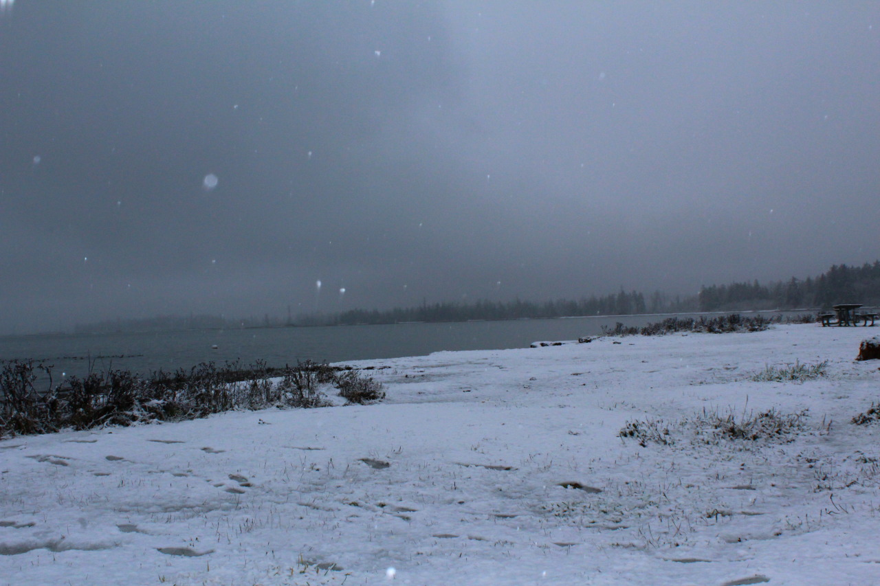 Archillect ID 179341