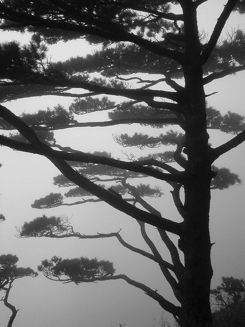 Archillect ID 179489