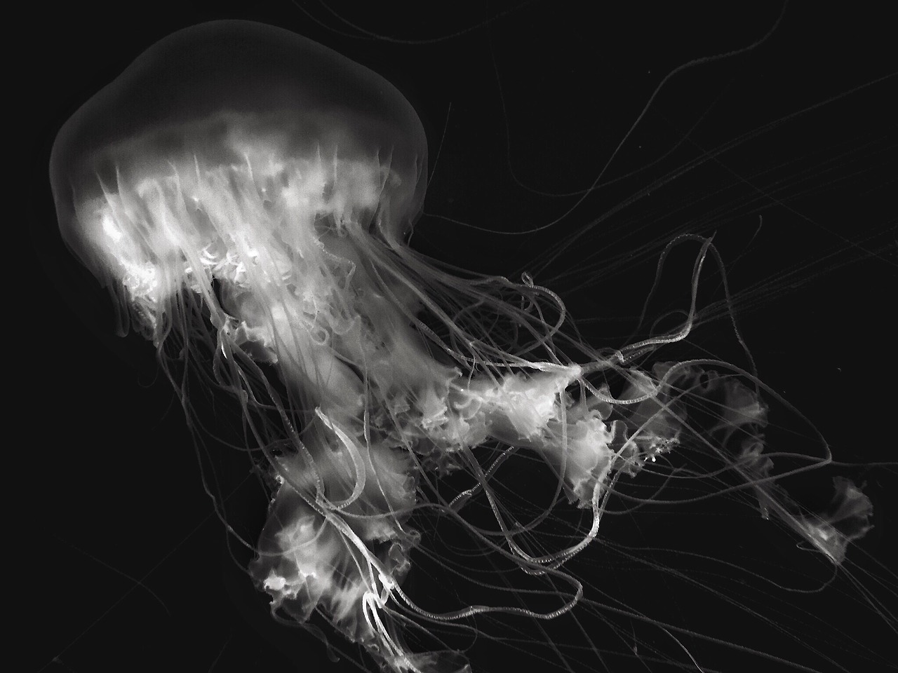 Archillect ID 179664