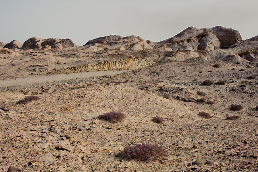 Archillect ID 179873