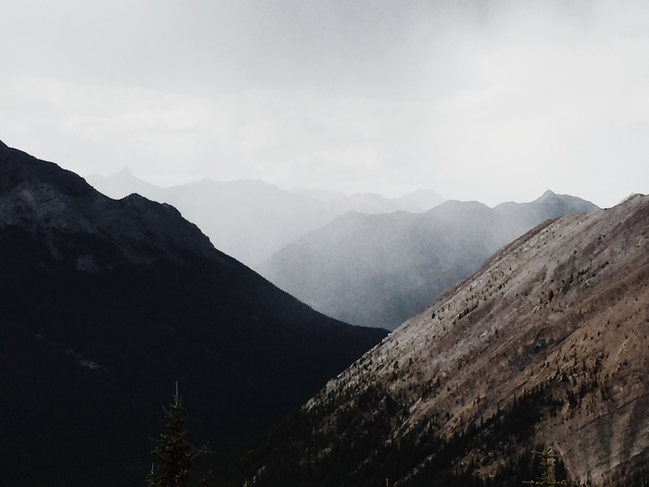Archillect ID 179906
