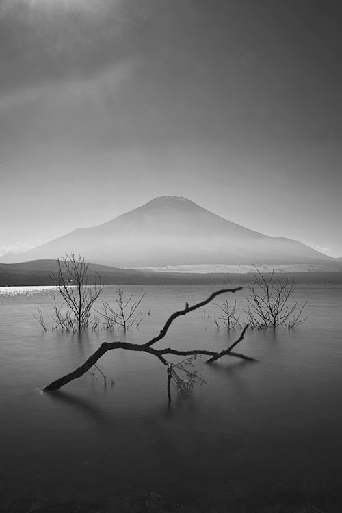 Archillect ID 179947