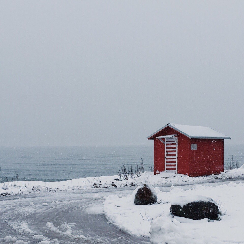 Archillect ID 179955