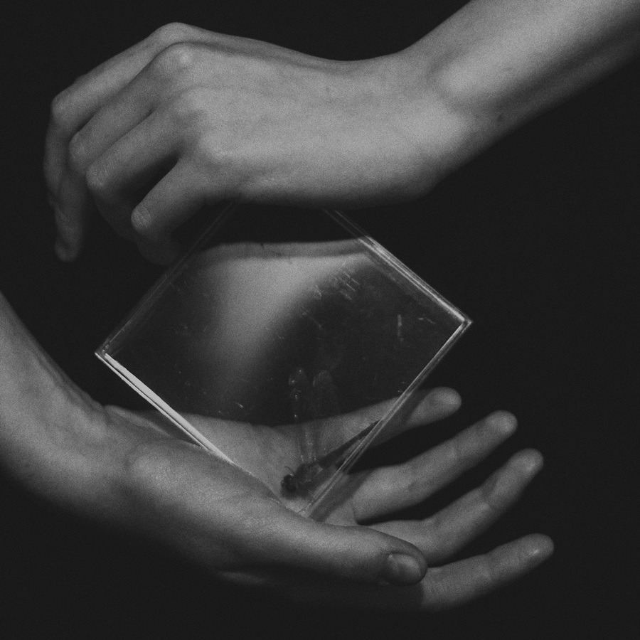 Archillect ID 180330