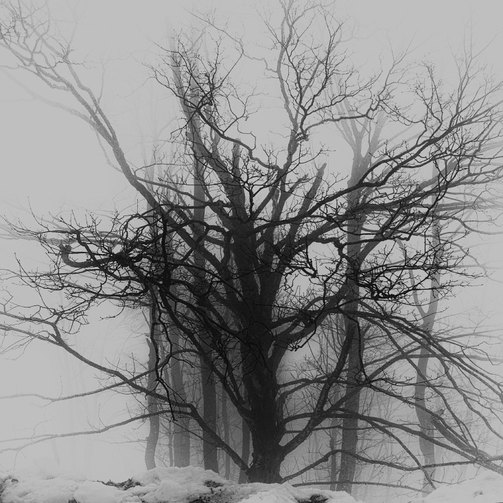 Archillect ID 180464