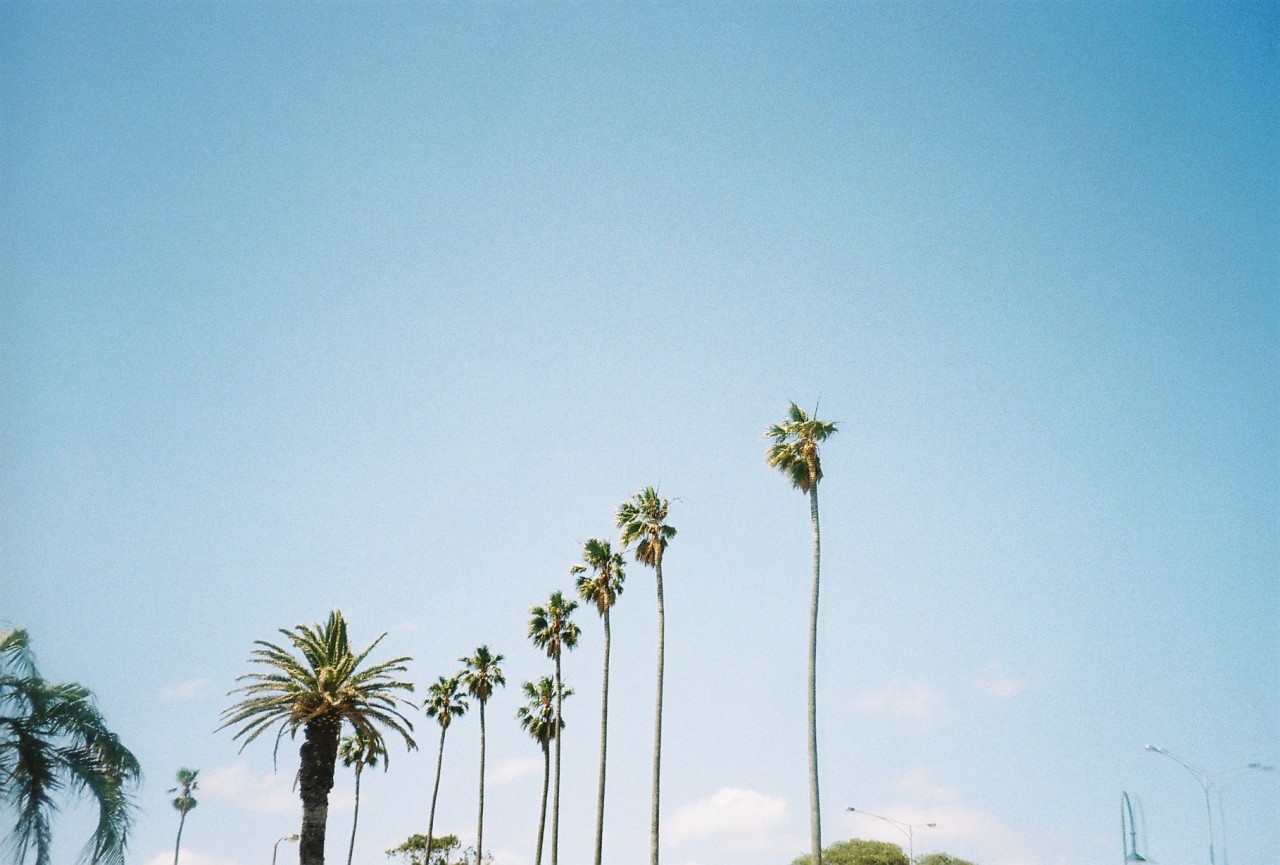 Archillect ID 180712
