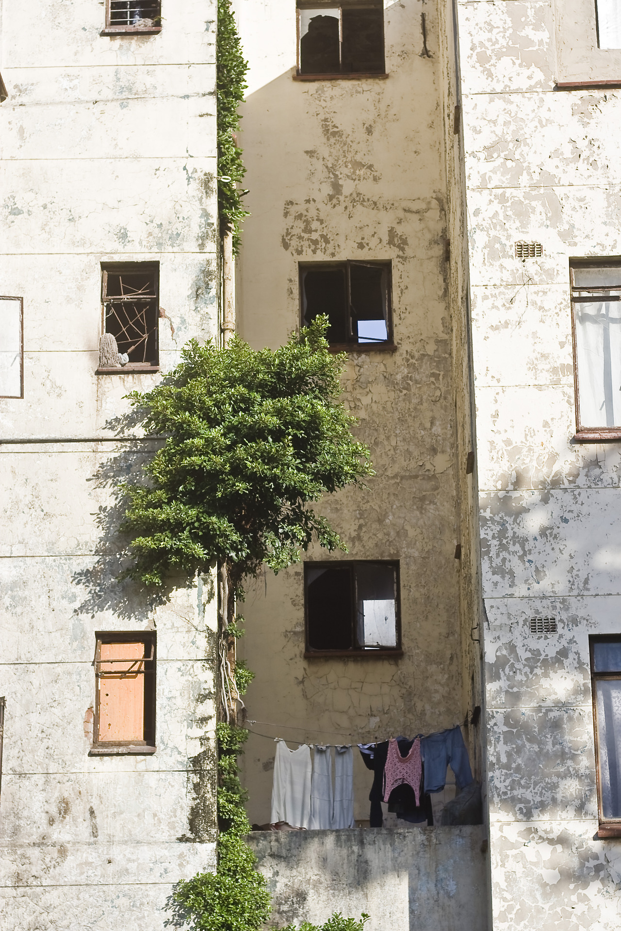 Archillect ID 180804