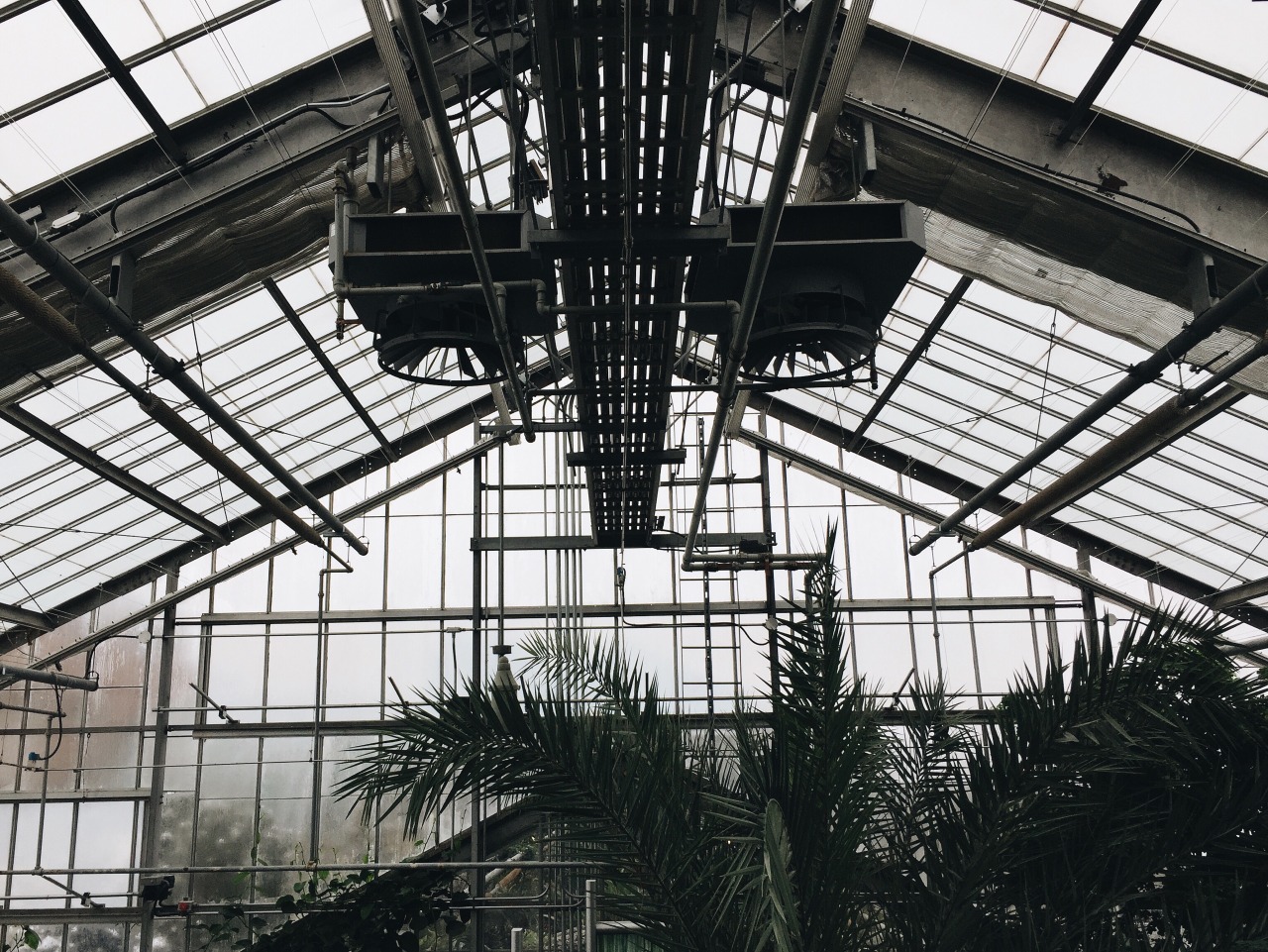 Archillect ID 181069