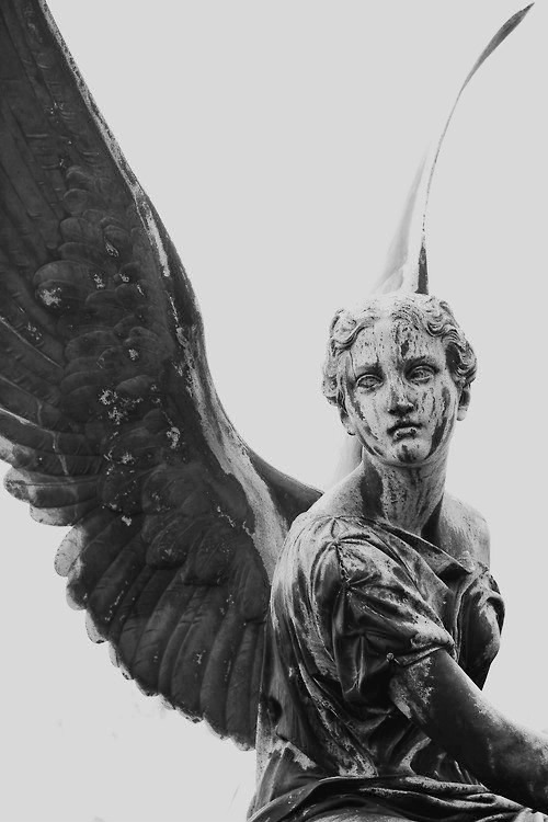 Archillect ID 181184