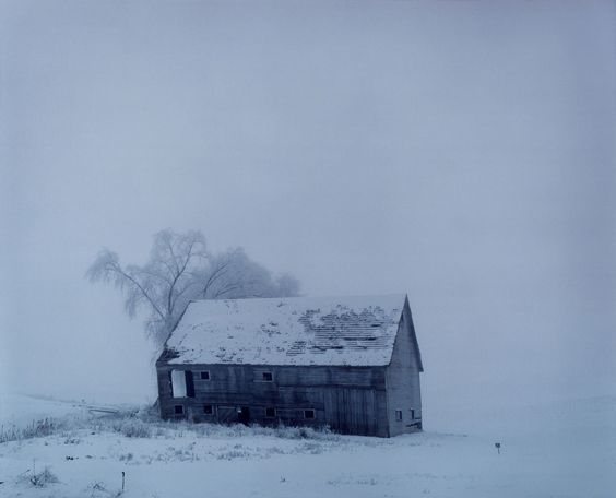 Archillect ID 181353