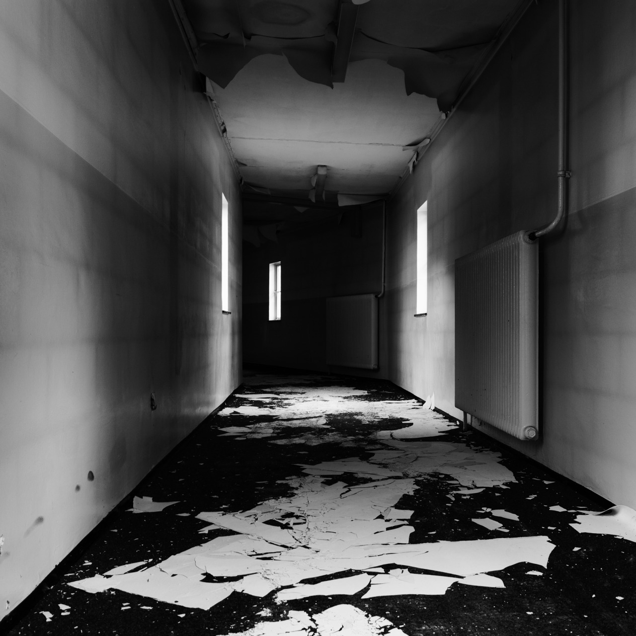 Archillect ID 181453