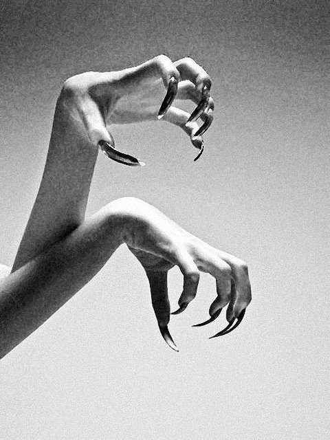 Archillect ID 181536