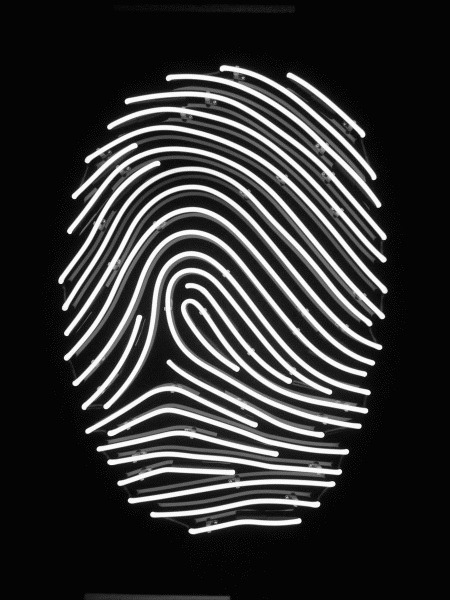 Archillect ID 181659