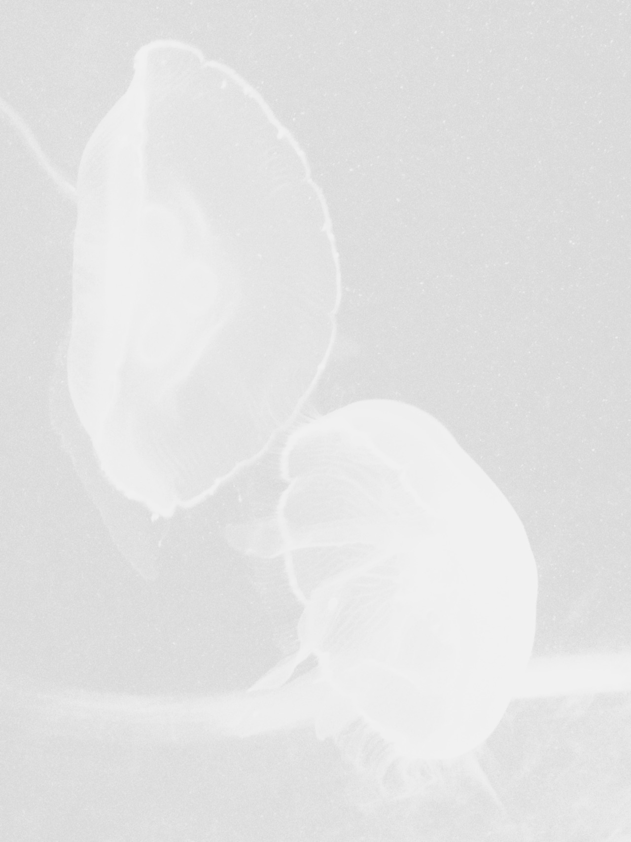 Archillect ID 181683