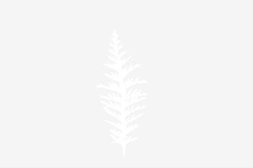 Archillect ID 181688