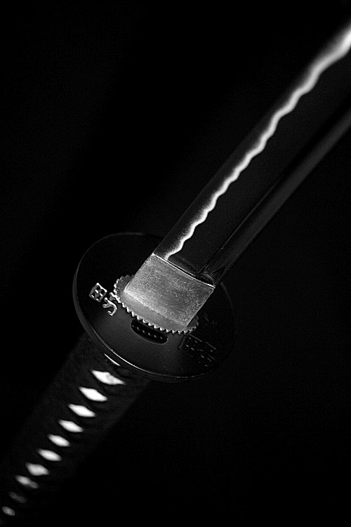 Archillect ID 181710