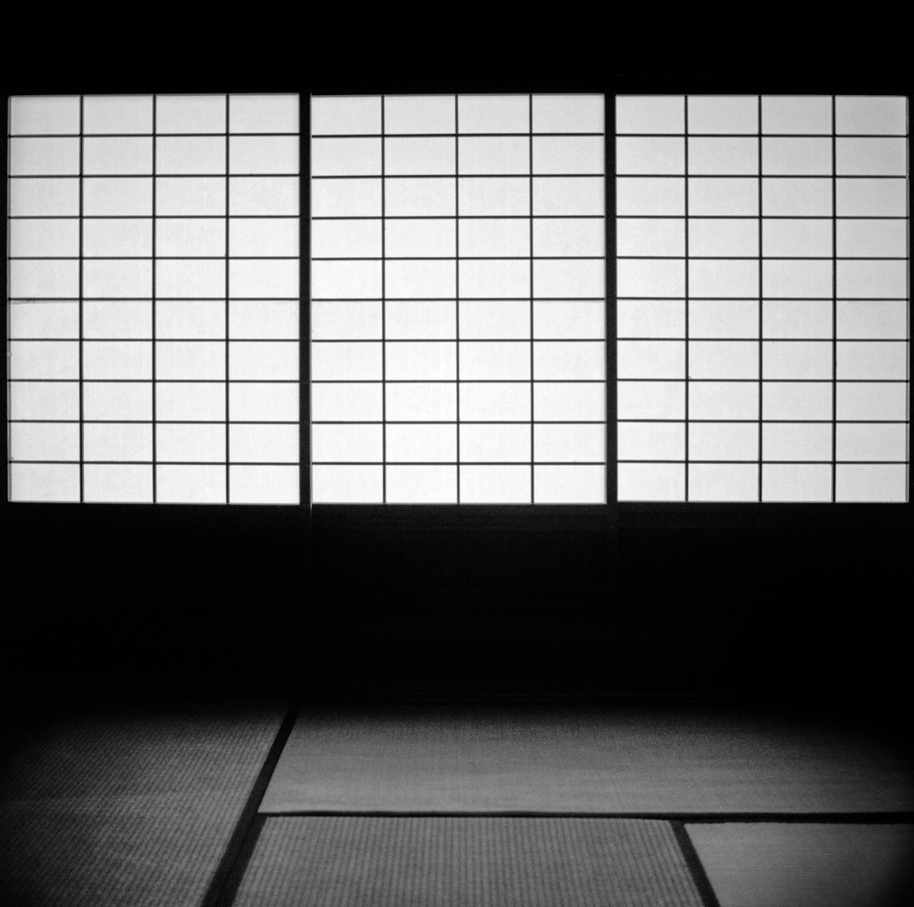 Archillect ID 181822