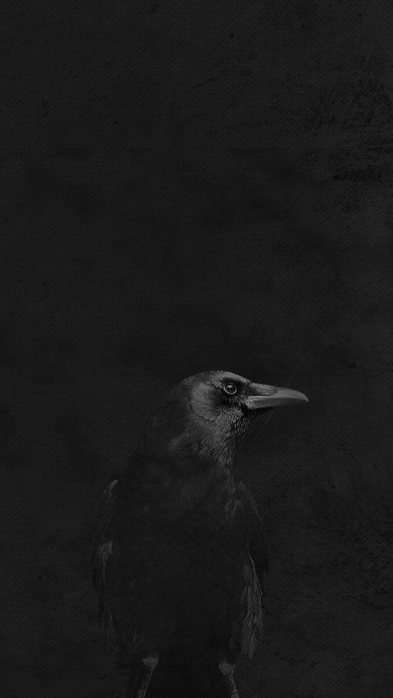 Archillect ID 181874