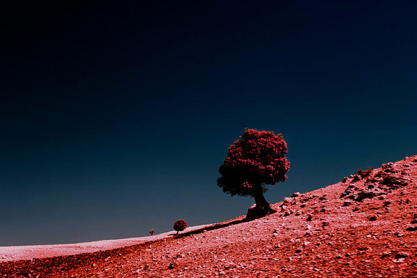 Archillect ID 181899