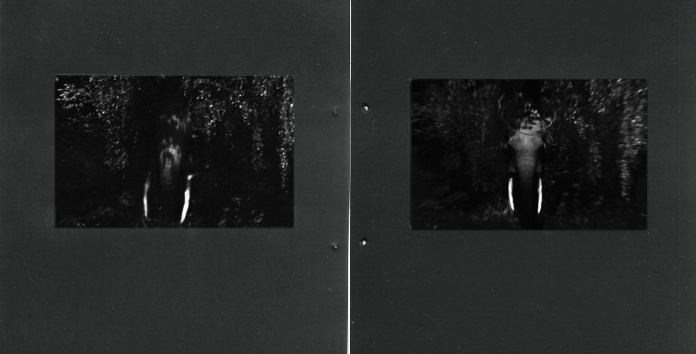 Archillect ID 181947