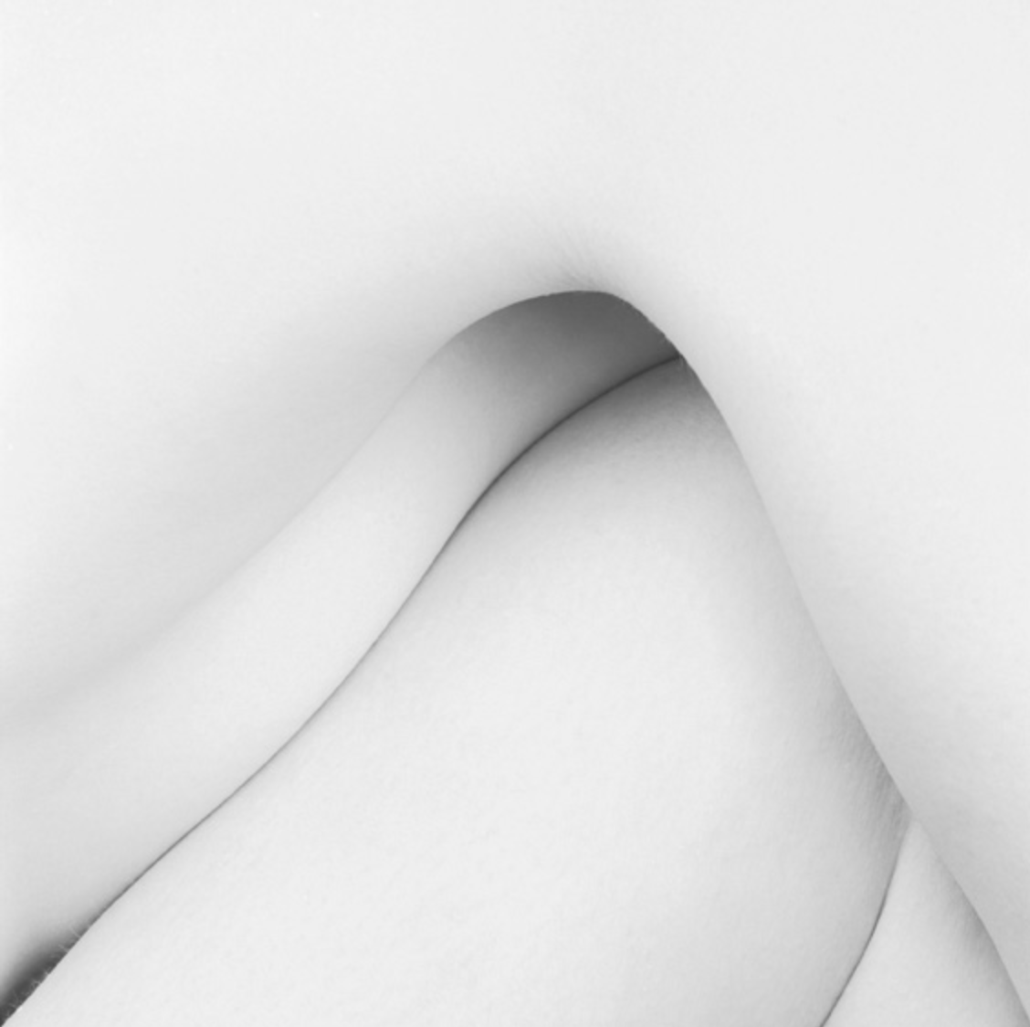 Archillect ID 182213