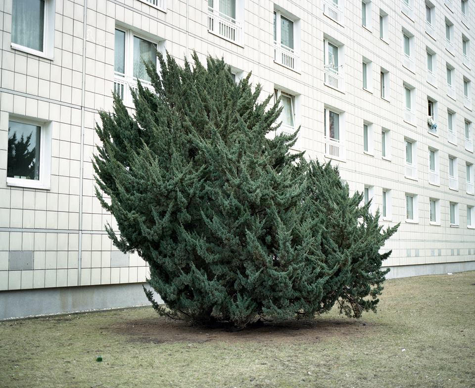 Archillect ID 182256