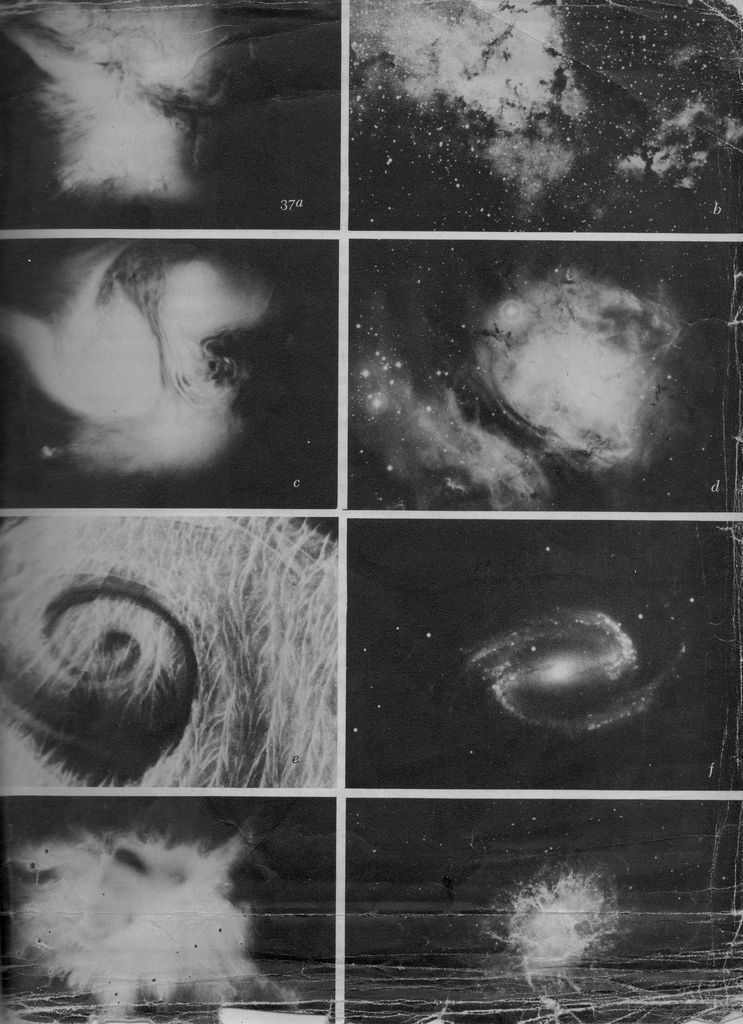 Archillect ID 182615