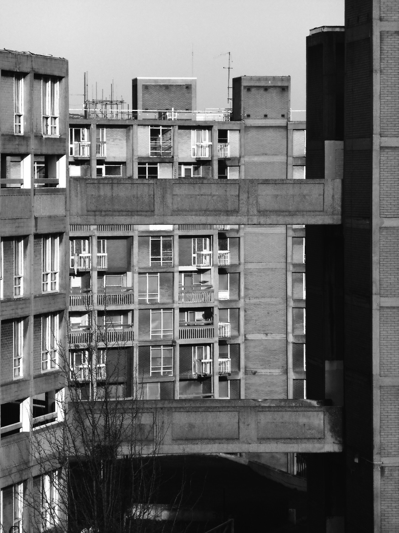 Archillect ID 182804