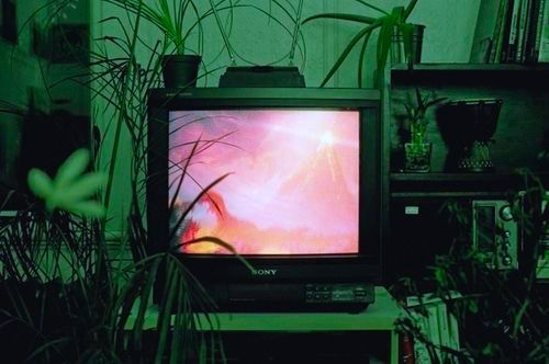 Archillect ID 182829