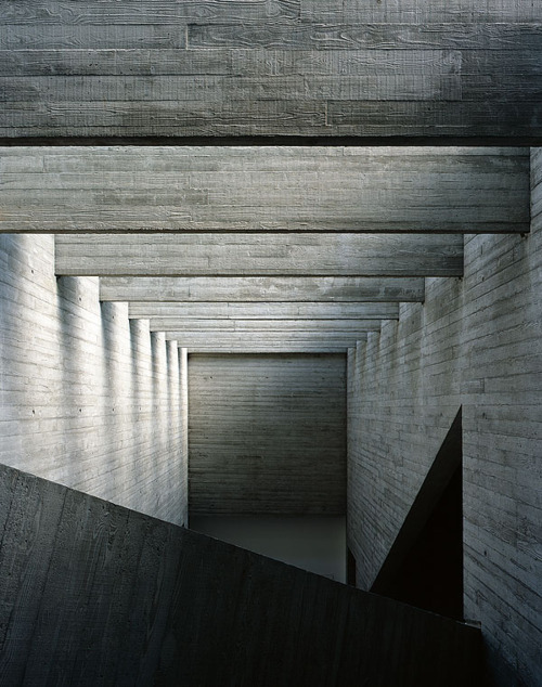 Archillect ID 183003