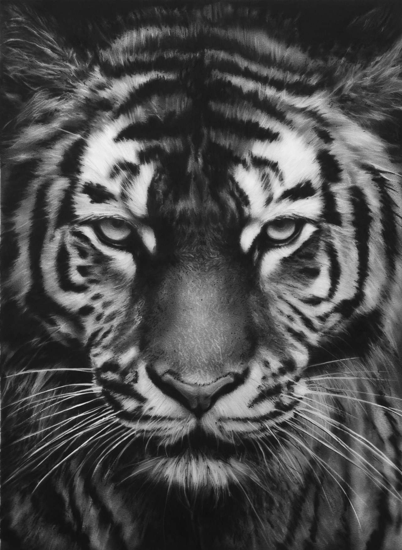 Archillect ID 183115