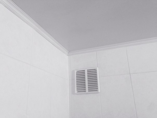 Archillect ID 184668