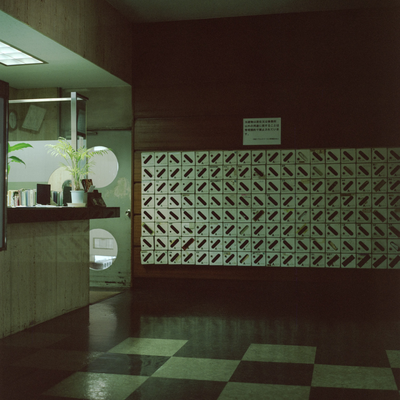 Archillect ID 185211