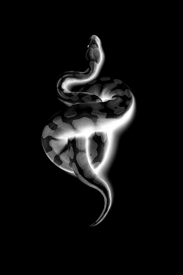 Archillect ID 185245
