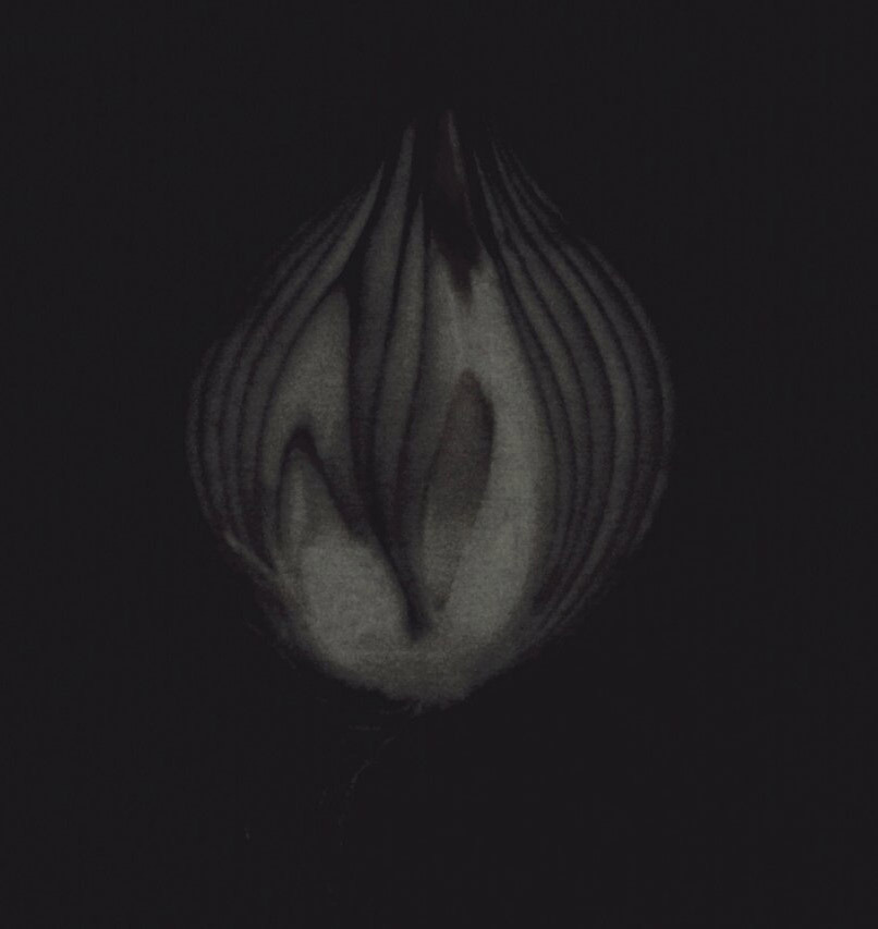 Archillect ID 185321