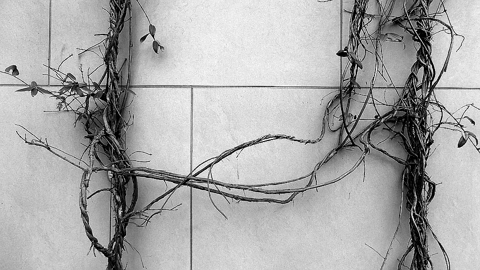 Archillect ID 185372