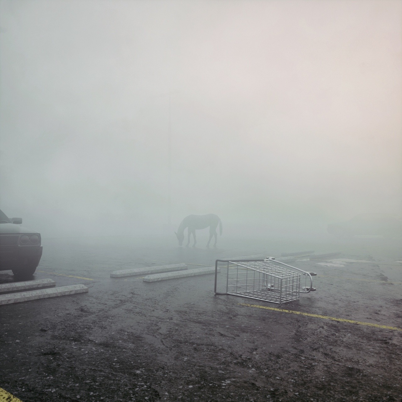 Archillect ID 185545