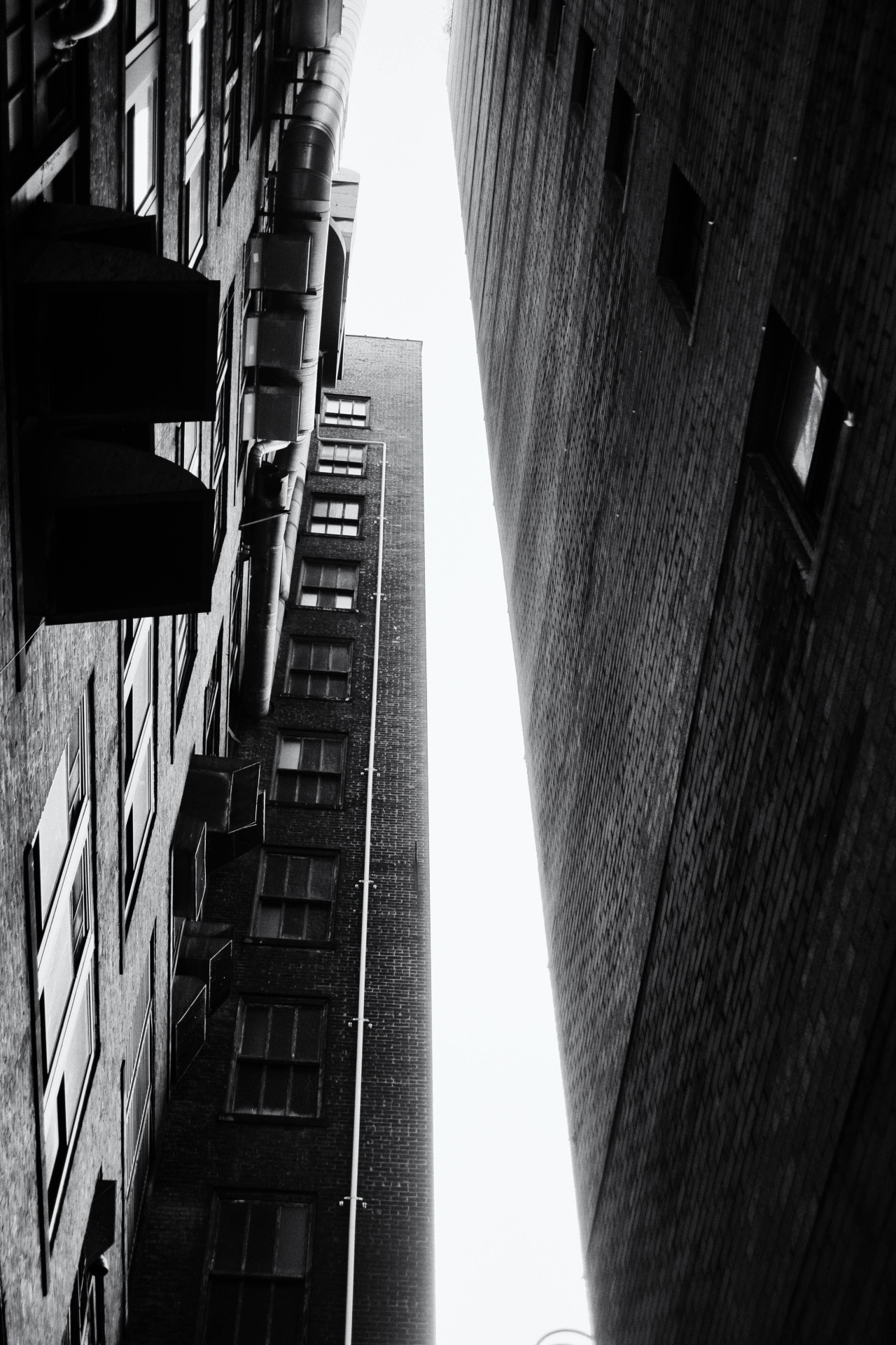 Archillect ID 185722