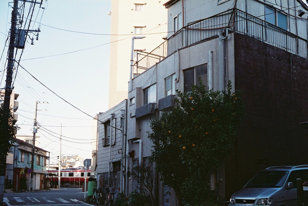 Archillect ID 186025
