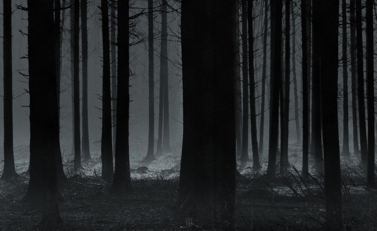 Archillect ID 186073