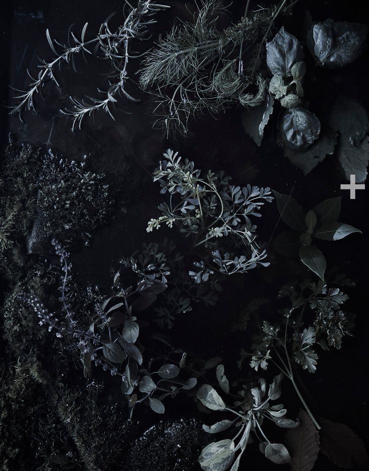Archillect ID 186185