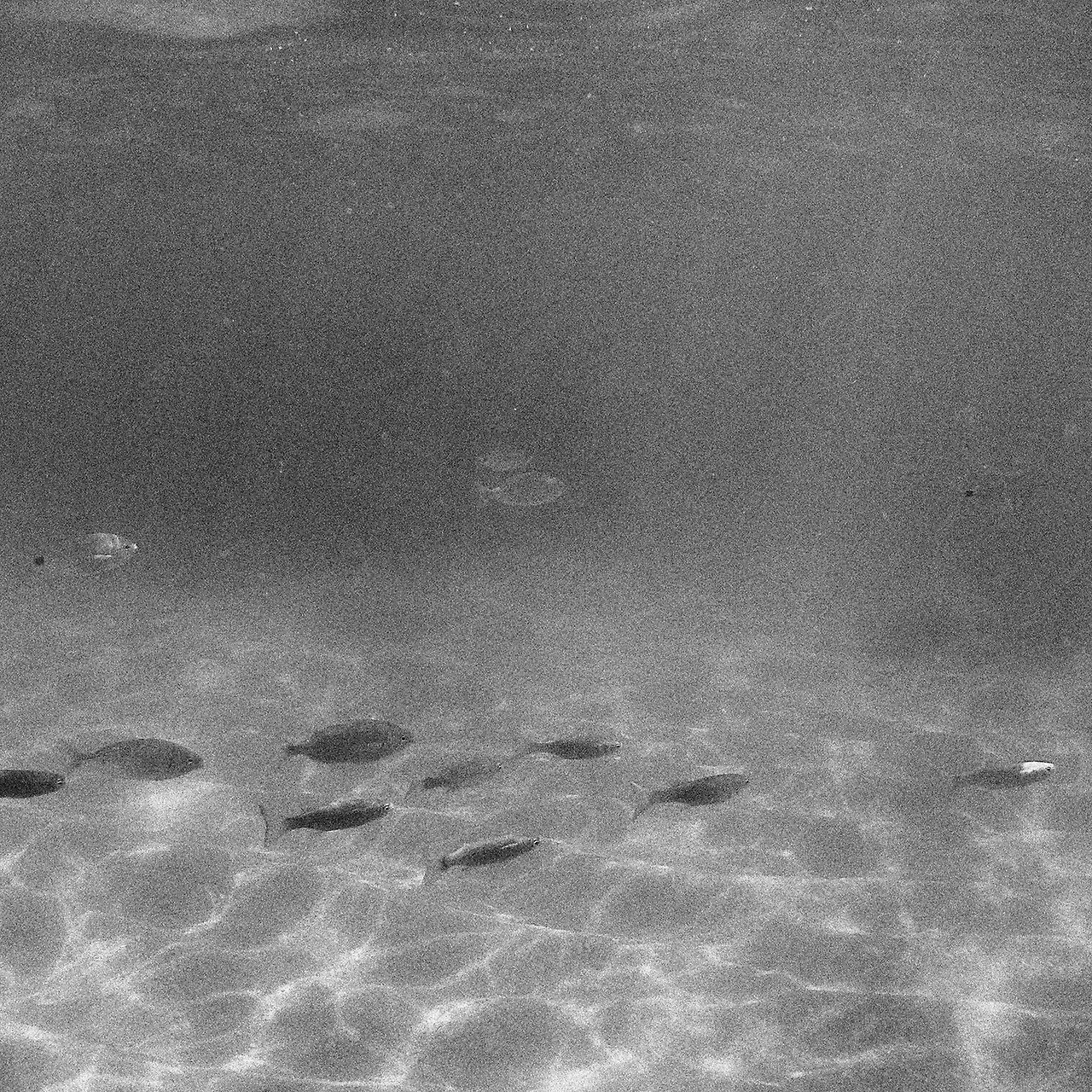 Archillect ID 186590