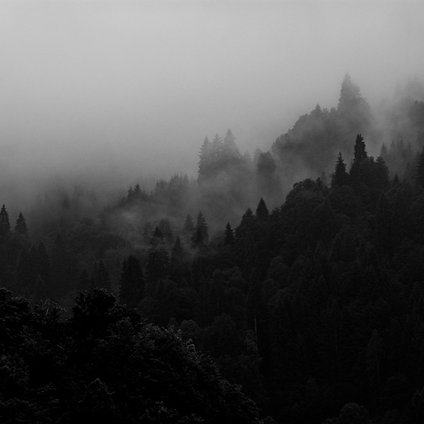 Archillect ID 186728