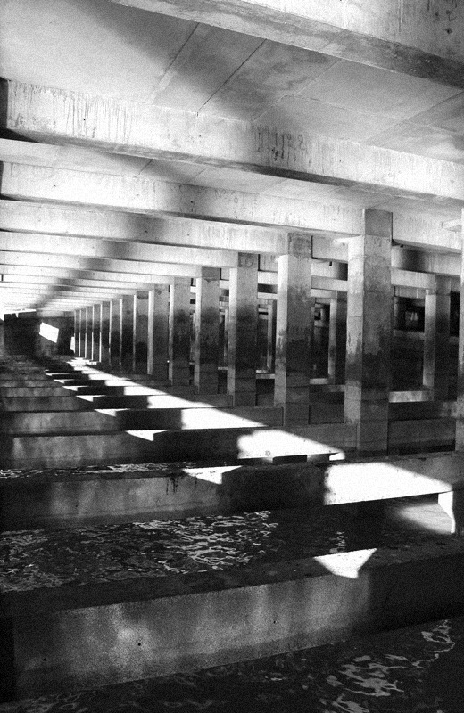 Archillect ID 187201