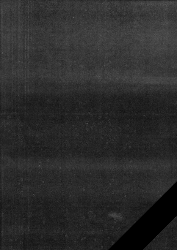 Archillect ID 187289
